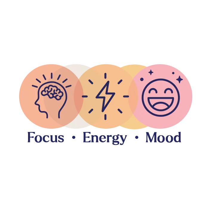 BIVA_focus_energy_mood